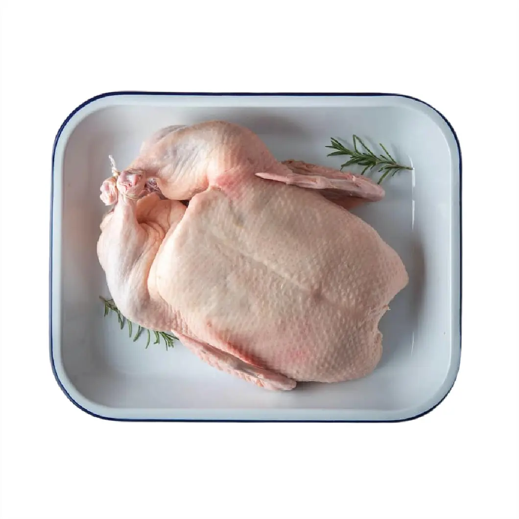 Beijing Duck (বেইজিং হাঁস)